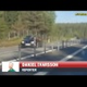 This Horrible Accident Is Why The Swedish Moose Test Exists